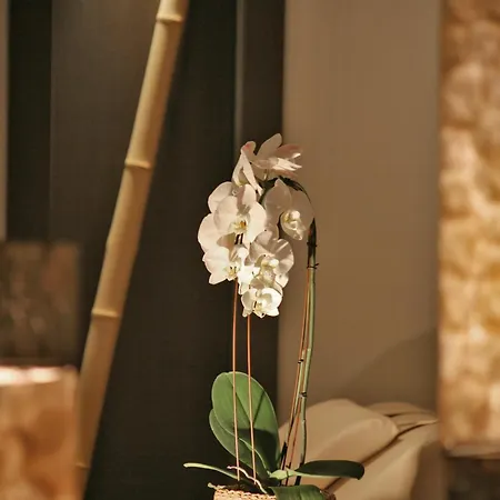 Hotel & Waldecker Hof Willingen (Upland)