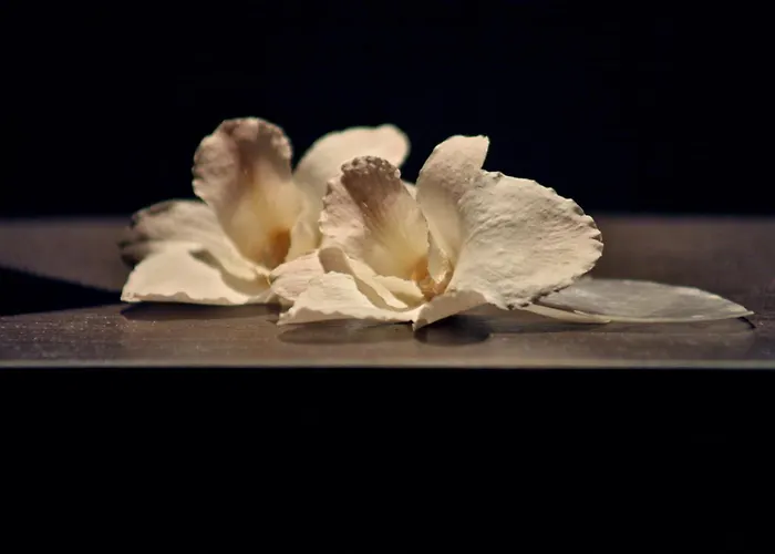 Hotell & Waldecker Hof 3*