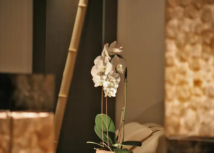 Hotel & Waldecker Hof Willingen (Upland)